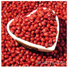 adzuki beans شريحة الشاي